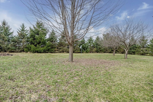 9654 Date Rd, Baroda, MI 49101 - view of yard