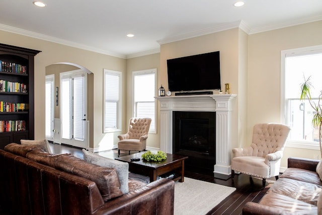 220 S Castell Ave, Rochester, MI 48307 - living area with arched walkways, dark wood-style floors, a fireplace with flush hearth, recessed lighting, and crown molding