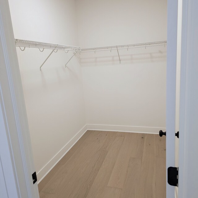 18430 Stallmann Dr, Macomb, MI 48042 - walk in closet with light wood finished floors