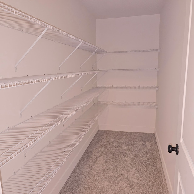 18430 Stallmann Dr, Macomb, MI 48042 - view of storage area