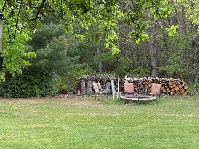 7298 W M-116, Ludington, MI 49431 - view of green lawn