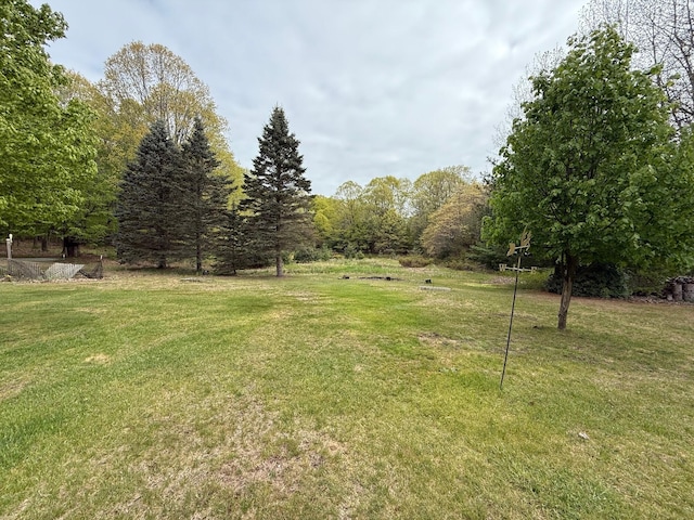 7298 W M-116, Ludington, MI 49431 - view of grassy yard with a forest view