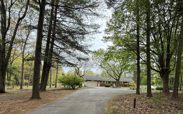7298 W M-116, Ludington, MI 49431 - ranch-style house featuring driveway and a garage