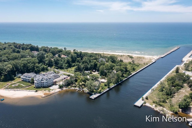 6195 Murray Rd, Whitehall, MI 49461 - bird's eye view featuring a water view