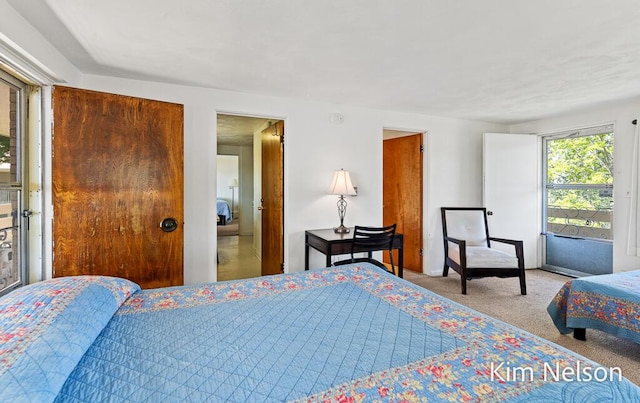 6195 Murray Rd, Whitehall, MI 49461 - bedroom featuring carpet floors