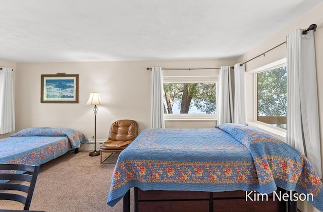 6195 Murray Rd, Whitehall, MI 49461 - view of carpeted bedroom