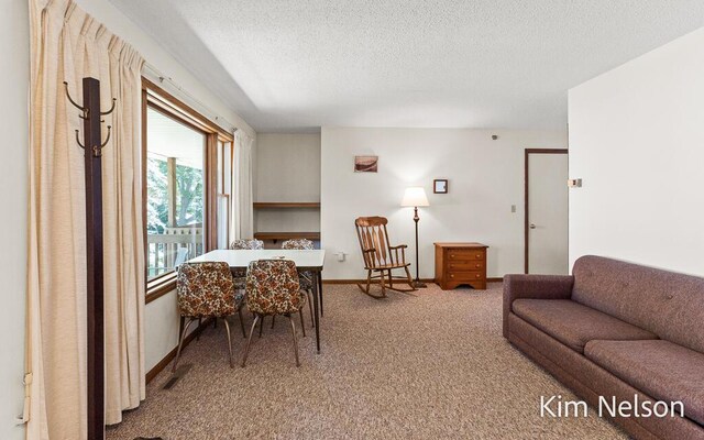 6195 Murray Rd, Whitehall, MI 49461 - living area with visible vents, baseboards, carpet, and a textured ceiling