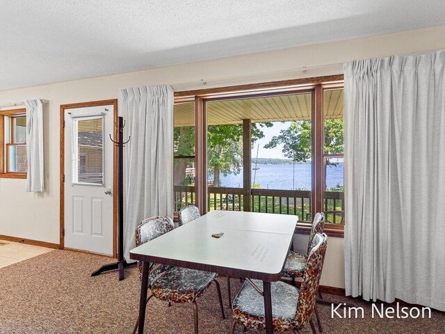 6195 Murray Rd, Whitehall, MI 49461 - dining room featuring carpet flooring, a textured ceiling, baseboards, and a water view