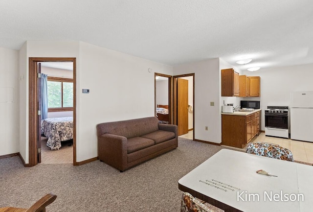 6195 Murray Rd, Whitehall, MI 49461 - living area featuring baseboards, light carpet, and a textured ceiling