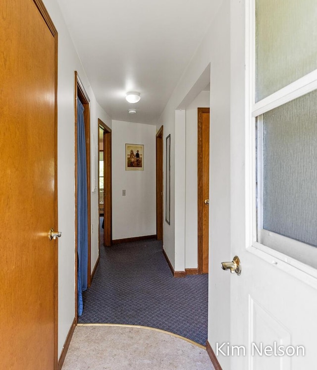 6195 Murray Rd, Whitehall, MI 49461 - hall featuring carpet flooring and baseboards