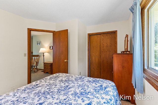 6195 Murray Rd, Whitehall, MI 49461 - carpeted bedroom with a closet and a textured ceiling