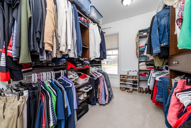 spacious closet with carpet floors