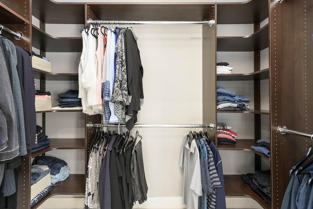 view of walk in closet