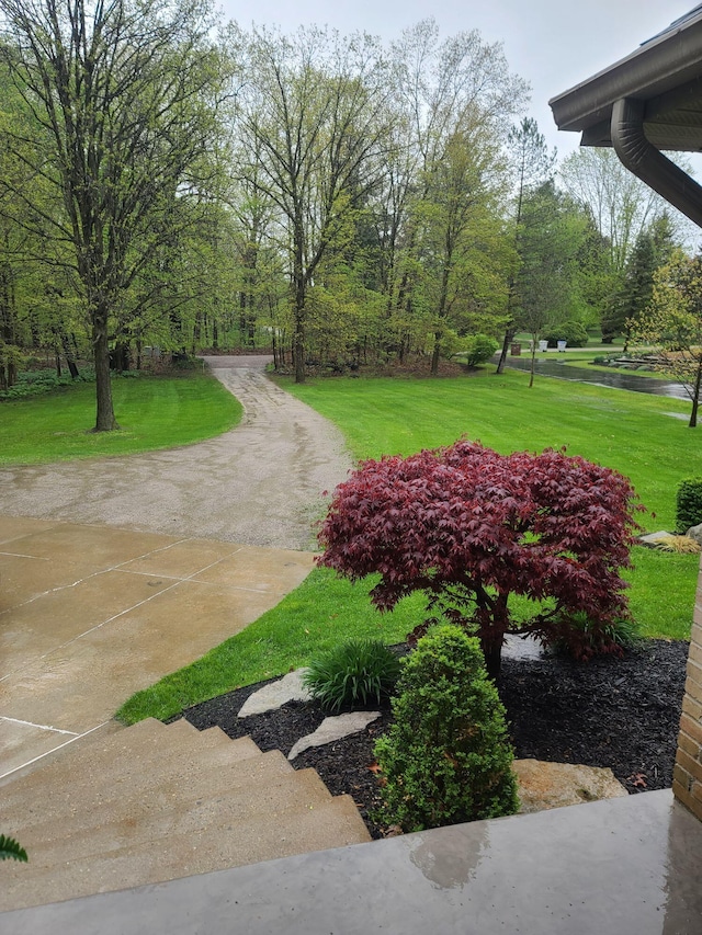 view of property's community with a lawn