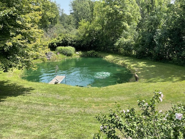 6501 Ackerson Lake Rd, Jackson, MI 49201 - property view of water featuring a view of trees