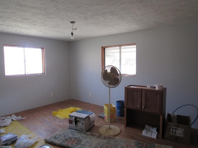 interior space with multiple windows, a textured ceiling, and wood finished floors