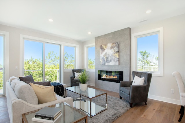 631 Fairview Ave NE Unit 3, Grand Rapids, MI 49503 - living area with a fireplace, wood finished floors, baseboards, and a healthy amount of sunlight