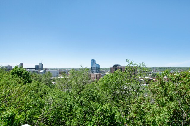 631 Fairview Ave NE Unit 3, Grand Rapids, MI 49503 - view of city