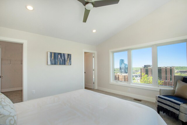 631 Fairview Ave NE Unit 3, Grand Rapids, MI 49503 - carpeted bedroom with baseboards, lofted ceiling, recessed lighting, a city view, and a walk in closet