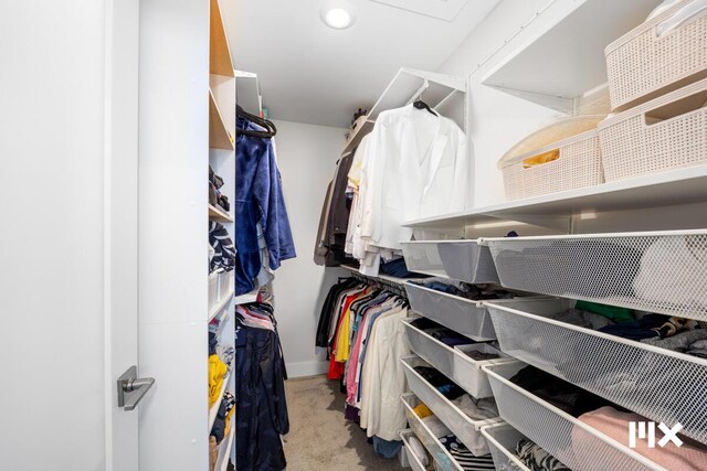 631 Fairview Ave NE Unit 3, Grand Rapids, MI 49503 - spacious closet with carpet