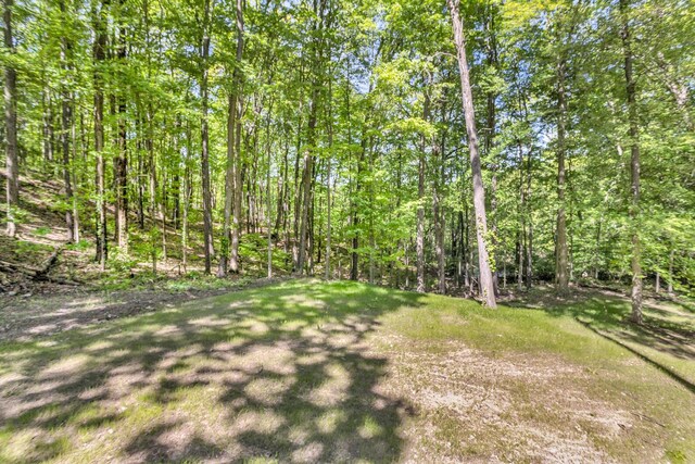 7330 Lingane Rd, Chelsea, MI 48118 - photo 71
