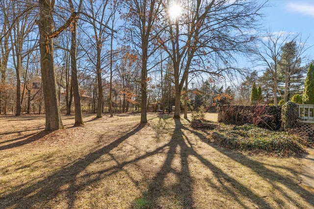 1270 John R Rd, Rochester Hills, MI 48307 - view of yard