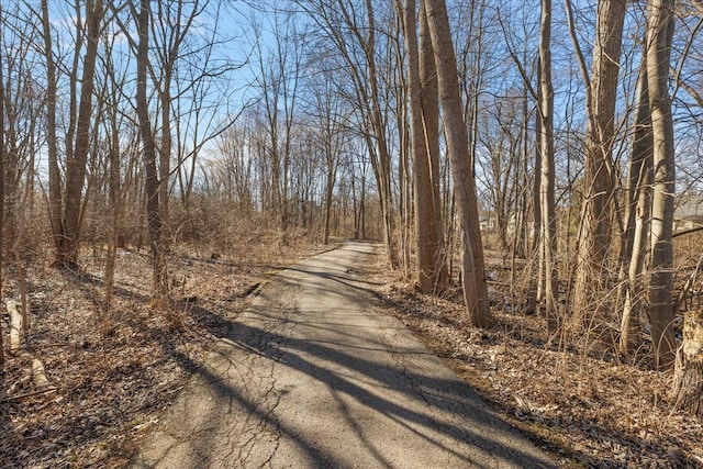 1270 John R Rd, Rochester Hills, MI 48307 - view of street