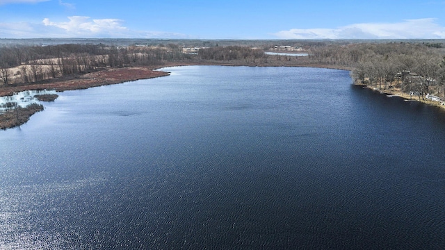 birds eye view of property with a water view and a forest view