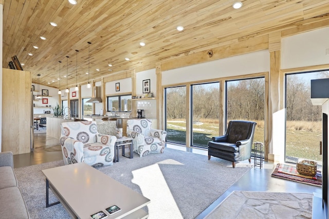 5595 Riverview Dr, Bridgeport, MI 48722 - living room with wood ceiling and recessed lighting