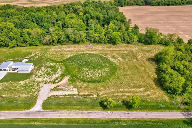 5595 Riverview Dr, Bridgeport, MI 48722 - aerial view of property's location featuring a forest