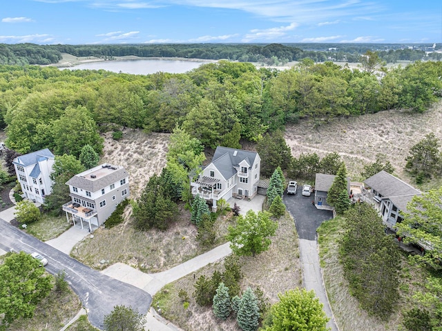 19148 Maiden Ln, Spring Lake, MI 49456 - bird's eye view of a large body of water and a heavily wooded area