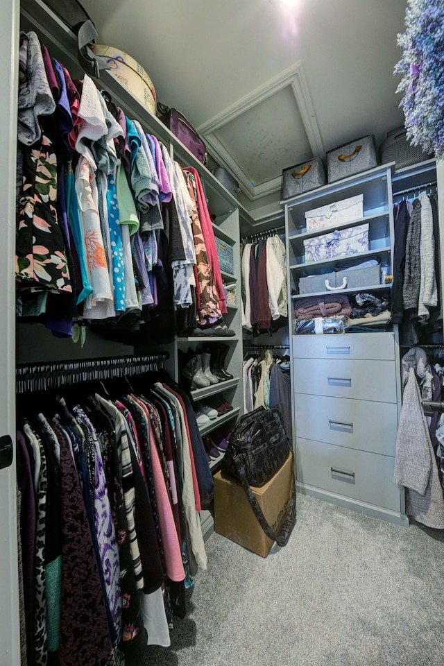 walk in closet with carpet