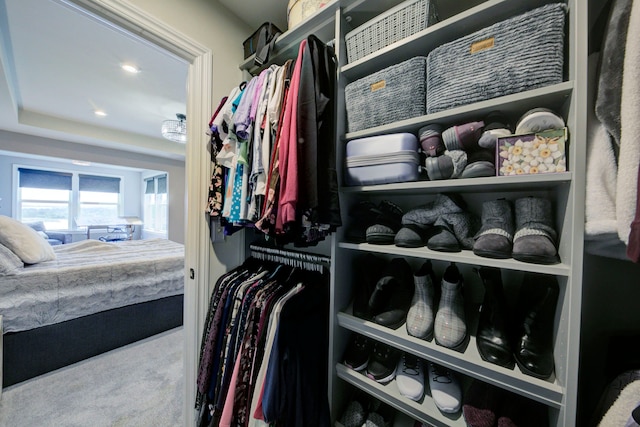 spacious closet with carpet flooring