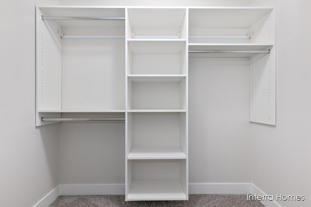 343 Seneca Ridge Dr Unit 40, Middleville, MI 49333 - spacious closet with carpet floors