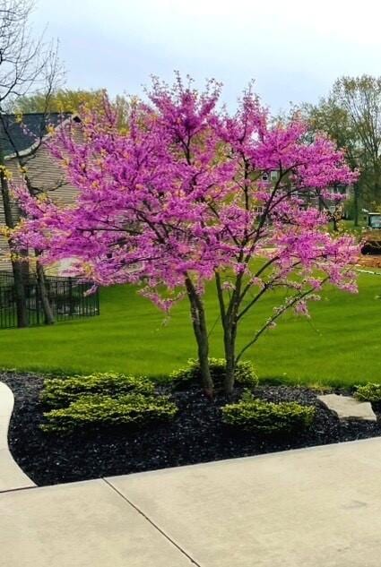 3269 Hopewell Ct NE, Rockford, MI 49341 - surrounding community featuring a yard