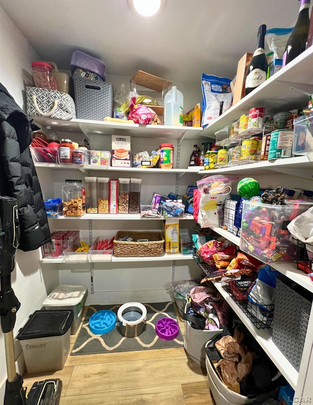 13936 Allen Rd, Clinton, MI 49236 - view of pantry
