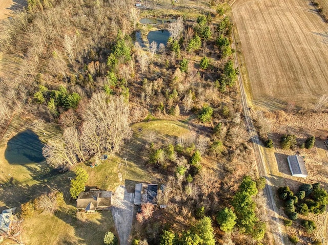 13936 Allen Rd, Clinton, MI 49236 - bird's eye view featuring a rural view