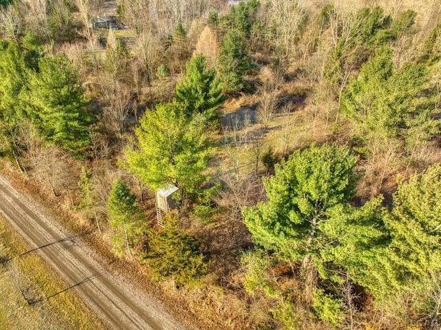 13936 Allen Rd, Clinton, MI 49236 - birds eye view of property