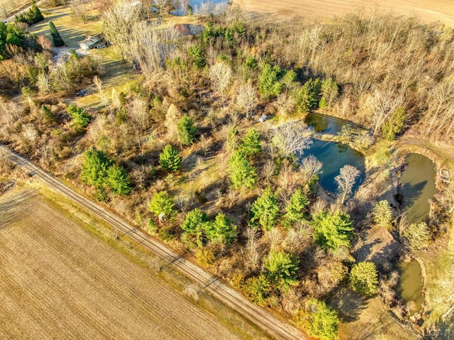 13936 Allen Rd, Clinton, MI 49236 - aerial view