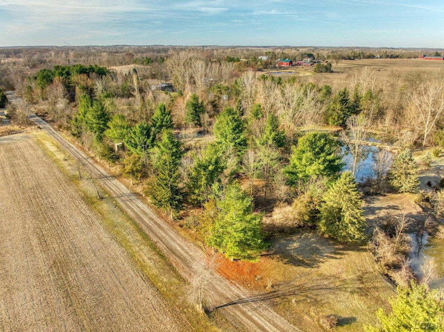 13936 Allen Rd, Clinton, MI 49236 - drone / aerial view with a rural view