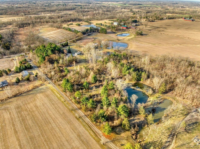 13936 Allen Rd, Clinton, MI 49236 - drone / aerial view with a rural view and a water view