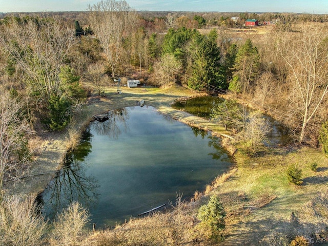 13936 Allen Rd, Clinton, MI 49236 - view of water feature