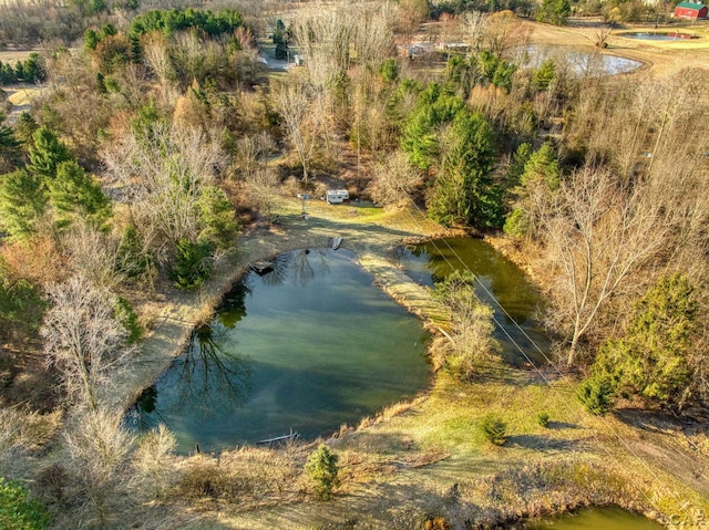 13936 Allen Rd, Clinton, MI 49236 - birds eye view of property with a water view