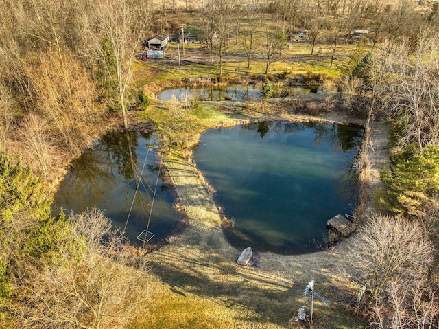 13936 Allen Rd, Clinton, MI 49236 - aerial view featuring a water view