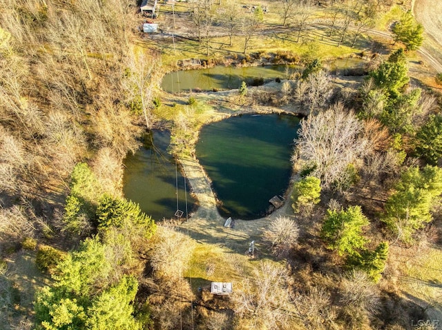 13936 Allen Rd, Clinton, MI 49236 - drone / aerial view featuring a water view
