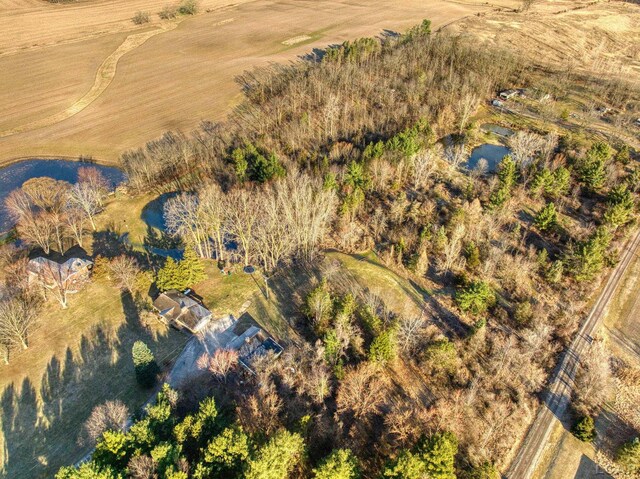 13936 Allen Rd, Clinton, MI 49236 - bird's eye view featuring a water view