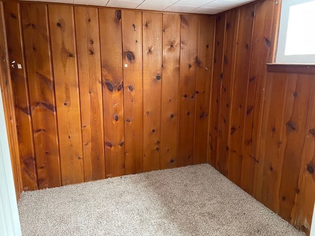 empty room with wood walls and carpet