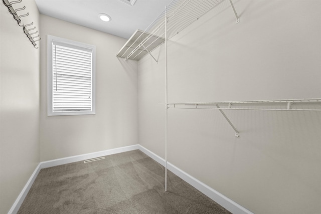 spacious closet with visible vents and carpet floors