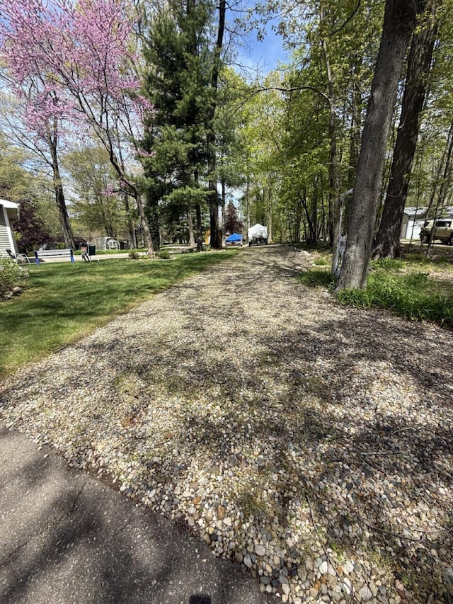 47463 Lakeview Dr, Lawrence, MI 49064 - view of yard