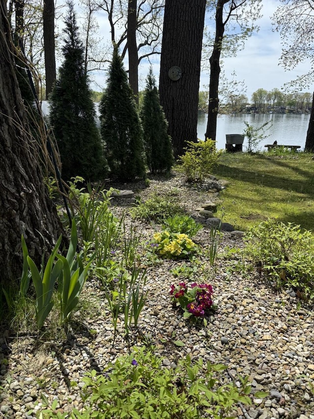 47463 Lakeview Dr, Lawrence, MI 49064 - view of yard featuring a water view
